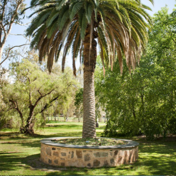 memoryleavf memoryleavf