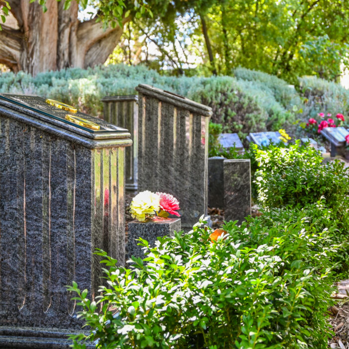 Project_HarrisonsRidgehaven20250226_0056 Project_HarrisonsRidgehaven20250226_0056